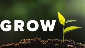5.4.2025- GROW: Gain Clarity