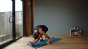 Related Embedded Video Item Thumbnail