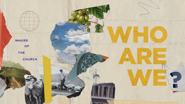 Header Graphic