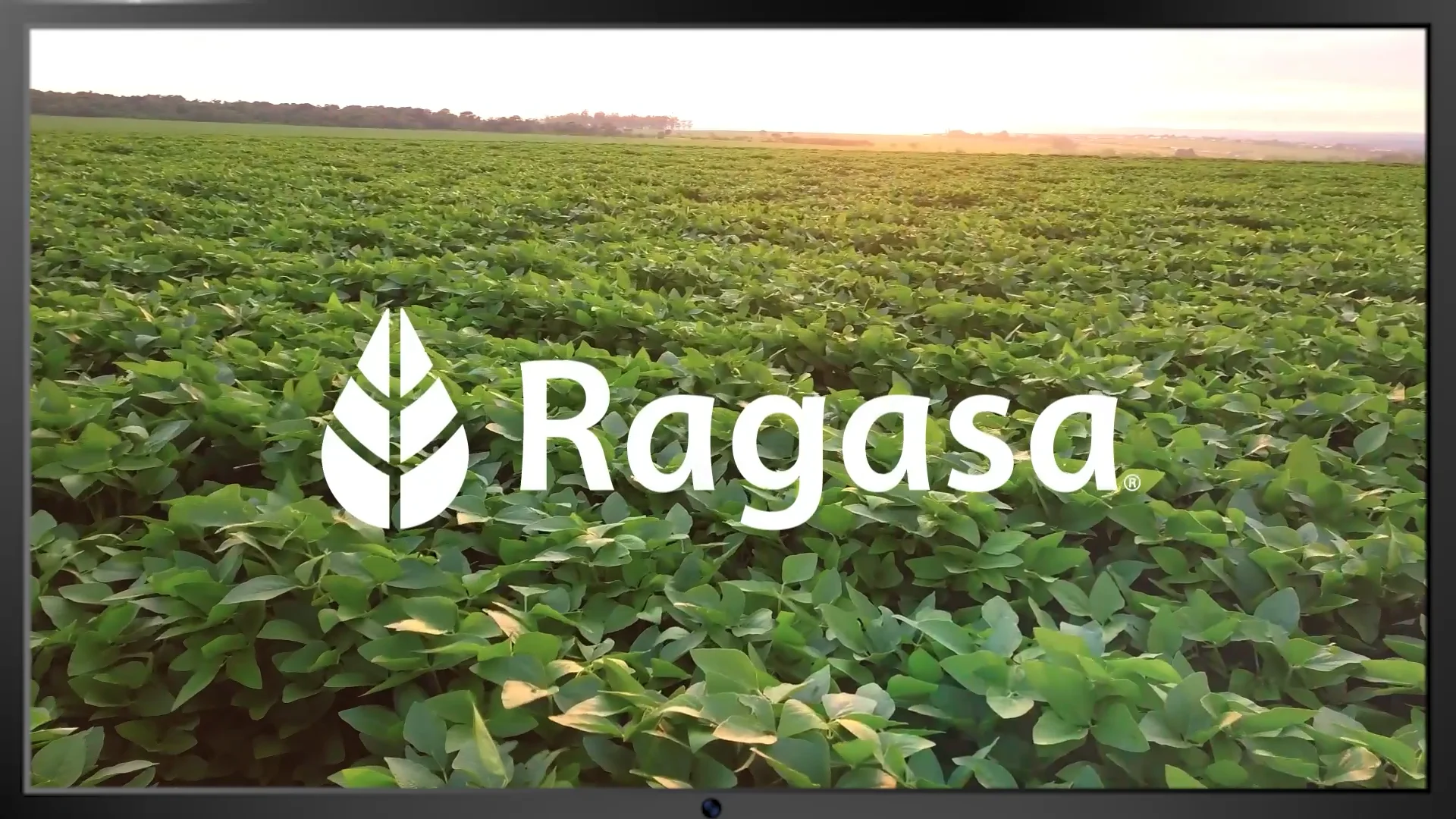 Ragasa