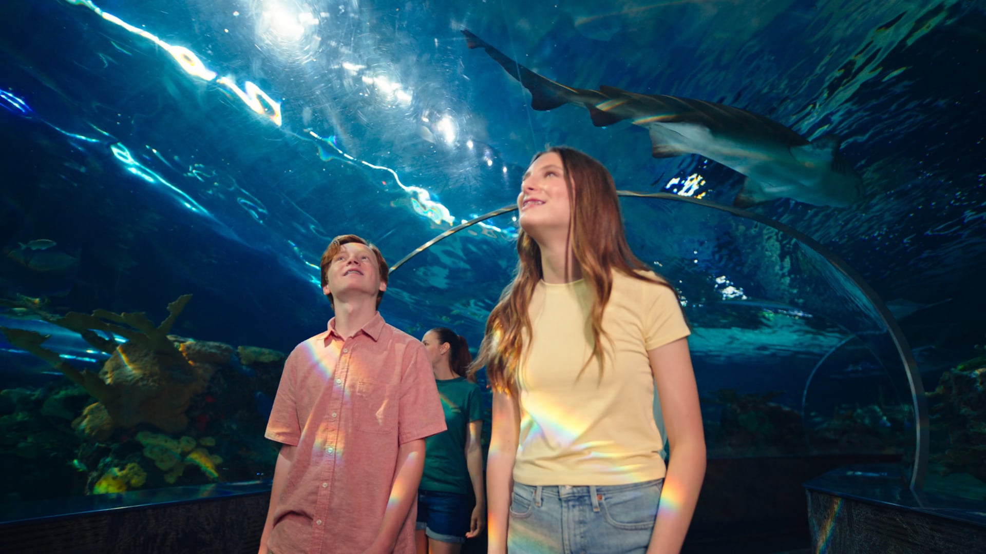 RIPLEYS_AQUARIUM_OF_FTHE_SMOKIES_OVERVIEW_02_
