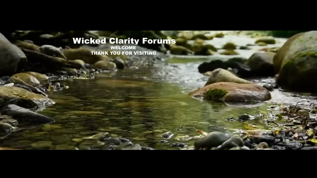 https://i.vimeocdn.com/video/2012470074-23b61ed0f420508d50b2d5b3e27403bc44dd8c0dfb1199a480ee8e46b565723d-d