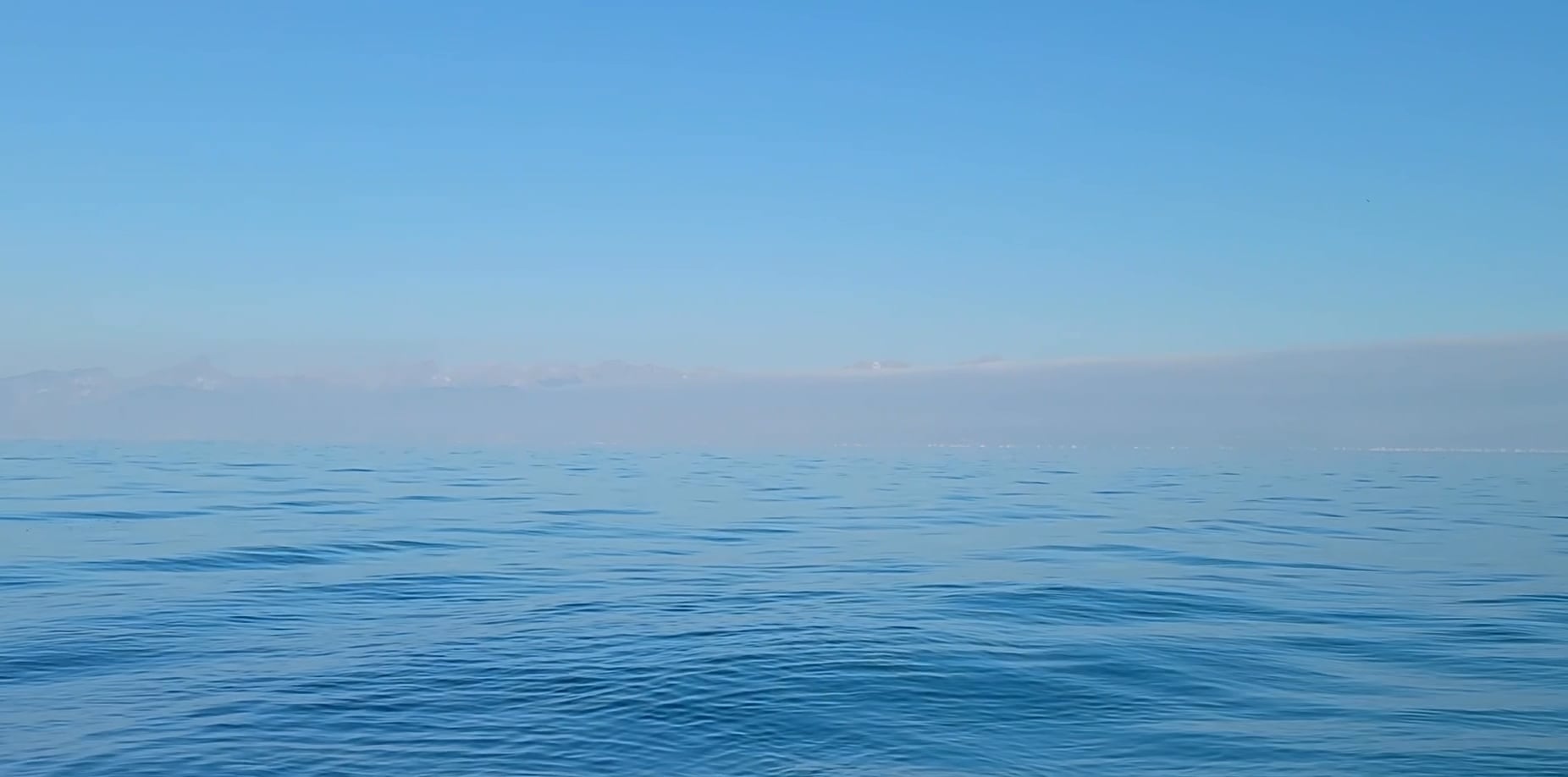 https://i.vimeocdn.com/video/2012514283-a63baed65f80485e1d581a5c5e833c42857fb39ef7736642fe5d65fd6188ce76-d