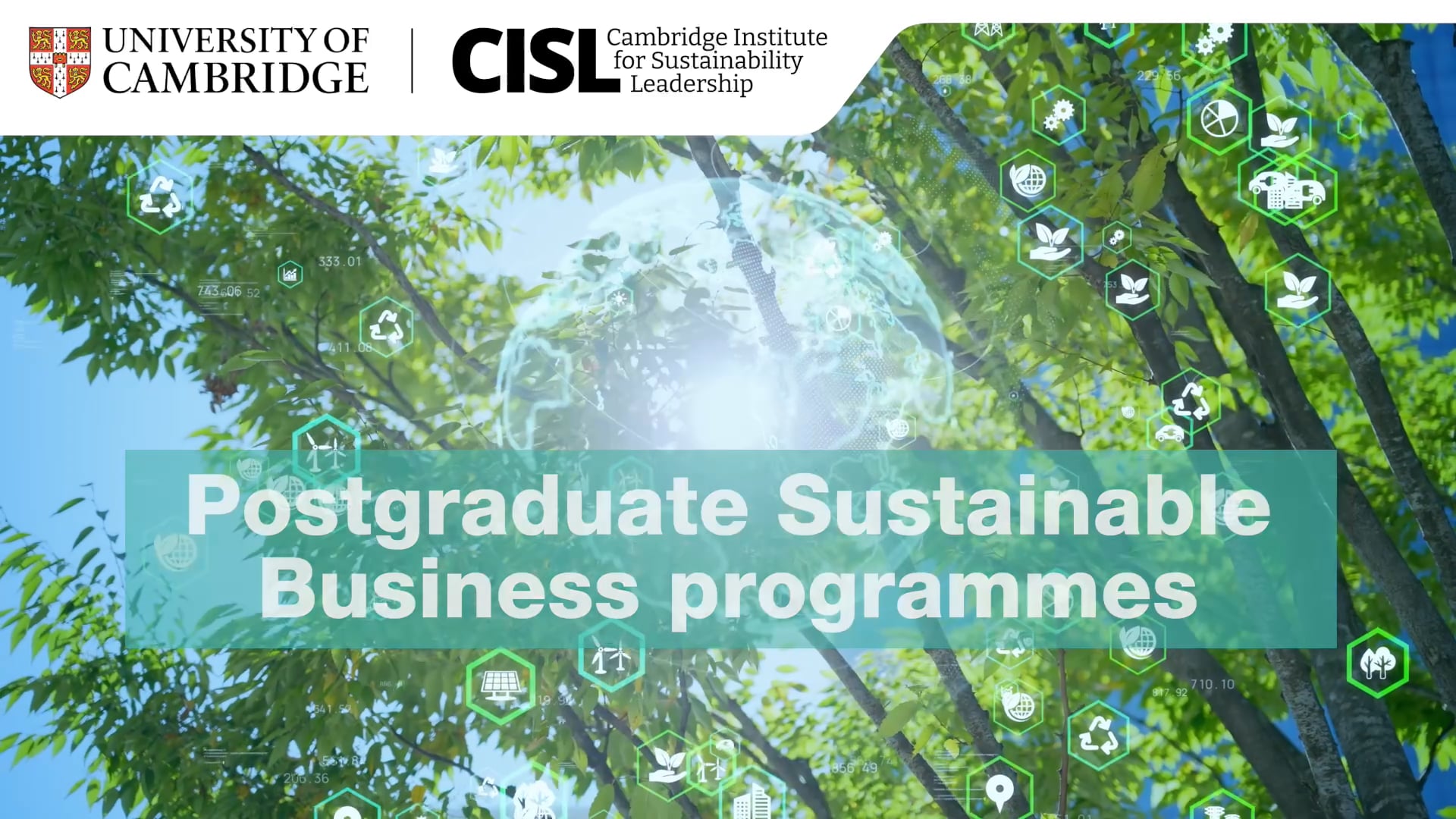Sustainable Business course at CISL University of Cambridge