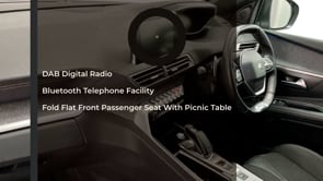 PEUGEOT 3008 2019 (69)
