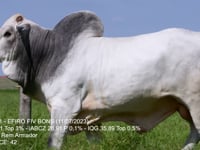 Lote 03