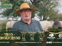 Grandes Criatórios