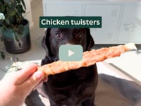 Op zoek naar een smakelijke en eiwitrijke traktatie voor je hond? Onze Chicken Twisters zijn heerlijke sticks omhuld met een dikke laag malse kip &amp;ndash; onweerstaanbaar&amp;hellip;