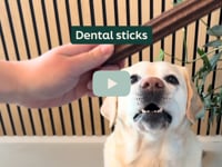 Een gezond gebit begint met de juiste verzorging! Met de WOOOF Dental Sticks geef je jouw hond een smakelijke traktatie die ook nog eens helpt bij het reinigen van&amp;hellip;