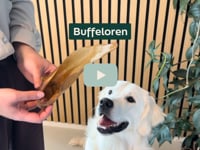 Heeft jouw hond zijn snacks altijd razendsnel op? Dat is met onze Buffeloren verleden tijd! Deze 100% natuurlijke kauwsnack biedt urenlang kauwplezier en ondersteunt&amp;hellip;