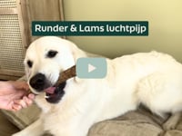 Op zoek naar een stevige snack die ook nog eens gezond is? Onze runder- en lamsluchtpijp is een ideale keuze voor honden die houden van kauwen &amp;eacute;n een beetje&amp;hellip;