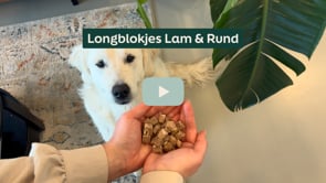 AniForte zalmolie honden 1 liter - rijk aan omega 3 & 6, visolie hond