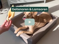 Heeft jouw hond een gevoelig maagje of bepaalde voedselallergie&amp;euml;n? Dan zijn onze geiten- en lamsoren een topkeuze! Deze gezonde, natuurlijke snacks zijn licht&amp;hellip;