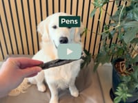 Laat je hond genieten van een heerlijke, natuurlijke snack boordevol eiwitten! Onze 100% natuurlijke pens ondersteunt de spieropbouw, draagt bij aan een gezond gebit&amp;hellip;