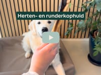 Is jouw hond een fanatieke kauwer? Dan zijn de Herten- en Runderkophuid snacks echt iets voor hem! Deze stevige snacks bieden niet alleen langdurig kauwplezier,&amp;hellip;