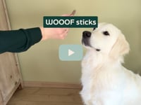 Een zachte snack als snelle beloning? Dan zijn de WOOOF sticks echt iets voor jouw hond! Deze populaire snack is verkrijgbaar in wisselende smaken zoals kip, rund&amp;hellip;