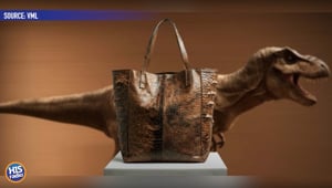 Dinosaur Handbags??