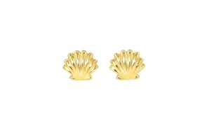 Italian 14kt Yellow Gold Seashell Stud Earrings