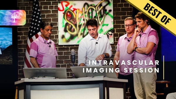 BEST OF - Intravascular imaging session
