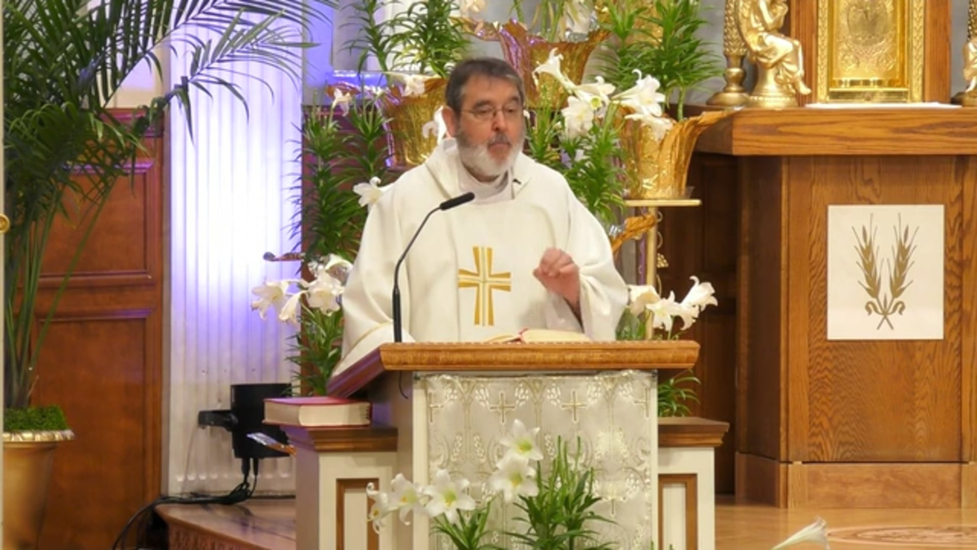 Misa de Nuestra Senora de Loretto - 6 de Mayo de 2025