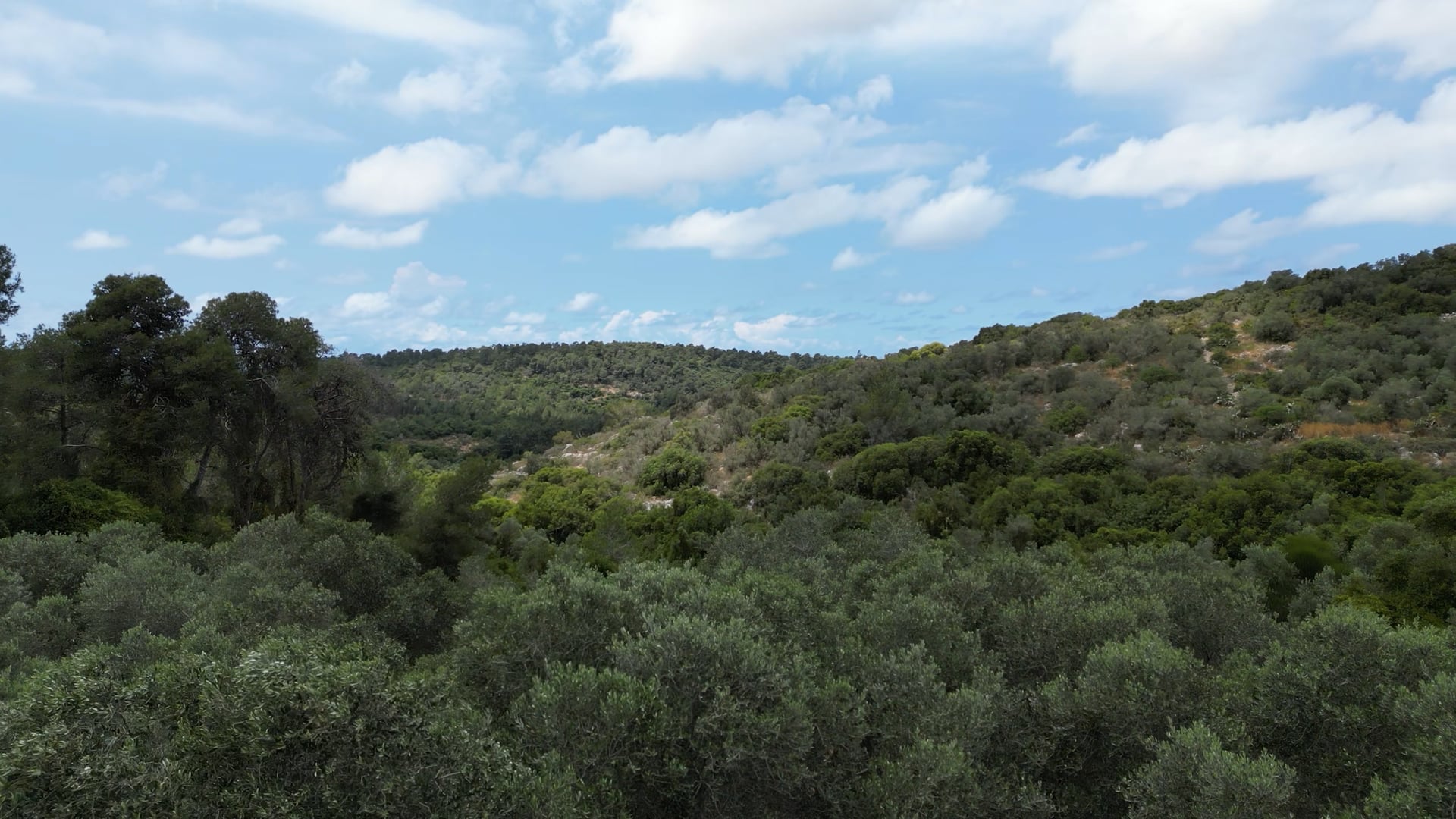 נשימת מים - 5 נשימות לדקה
