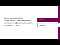 Managing Customer Excellence: 1.1 What is Customer Life Cycle