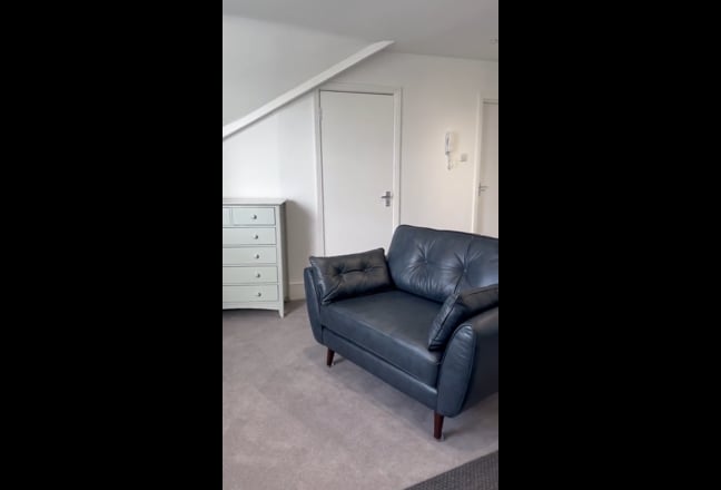Beautiful large studio flat in Victorian house  Main Photo