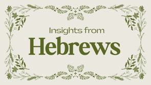 Related Embedded Video Item Thumbnail