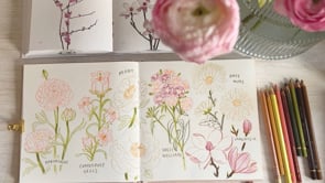 Lesson 1: Observing & Simplifying Floral Forms
