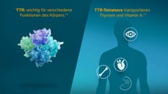 Kardiale Transthyretin-Amyloidose