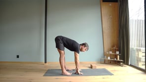 Fold standing