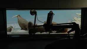 2025_05_06 udstillingsafdeling møde diorama