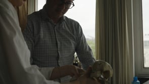 Related Embedded Video Item Thumbnail