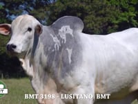 Lote 3000