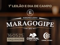 Convite Lucas Marques - Diretor de Operações Maragogipe