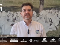 Convite Ney Conti - Zebu Fértil