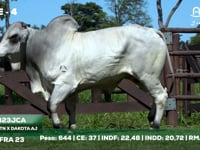 Lote 04