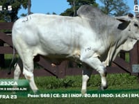 Lote 05