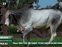 Lote 27