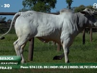 Lote 30