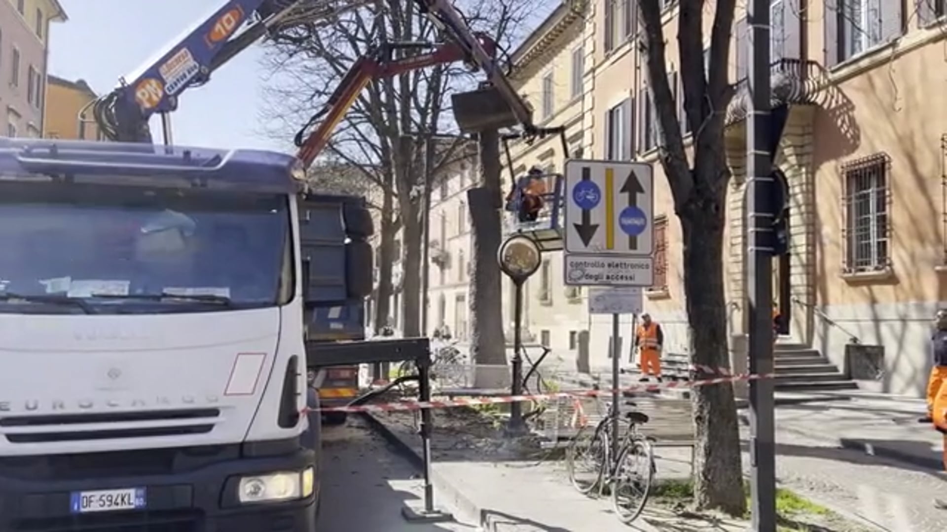 Albero abbattuto in Piazza Aldrovandi, la replica del Comune