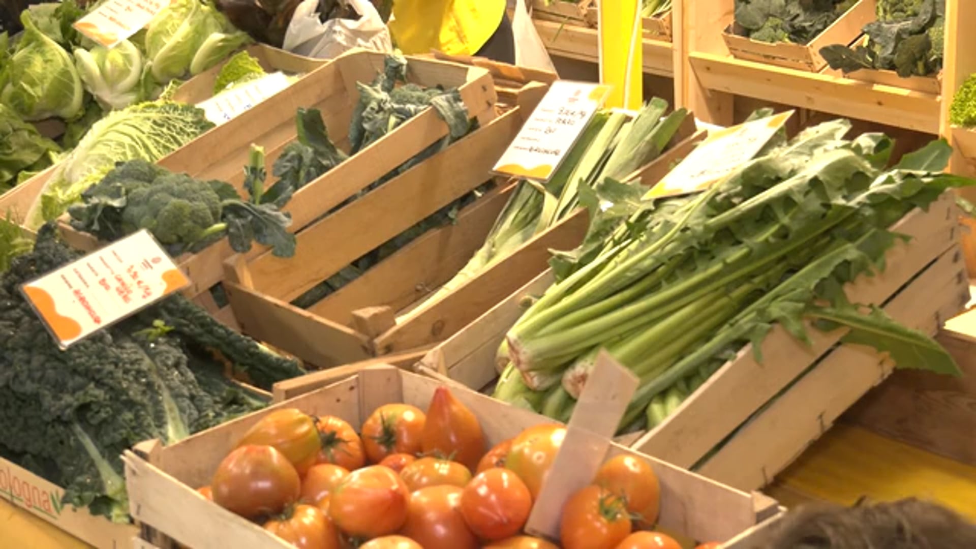 Coldiretti Emilia-Romagna in piazza a Parma “per difendere la salute degli italiani”