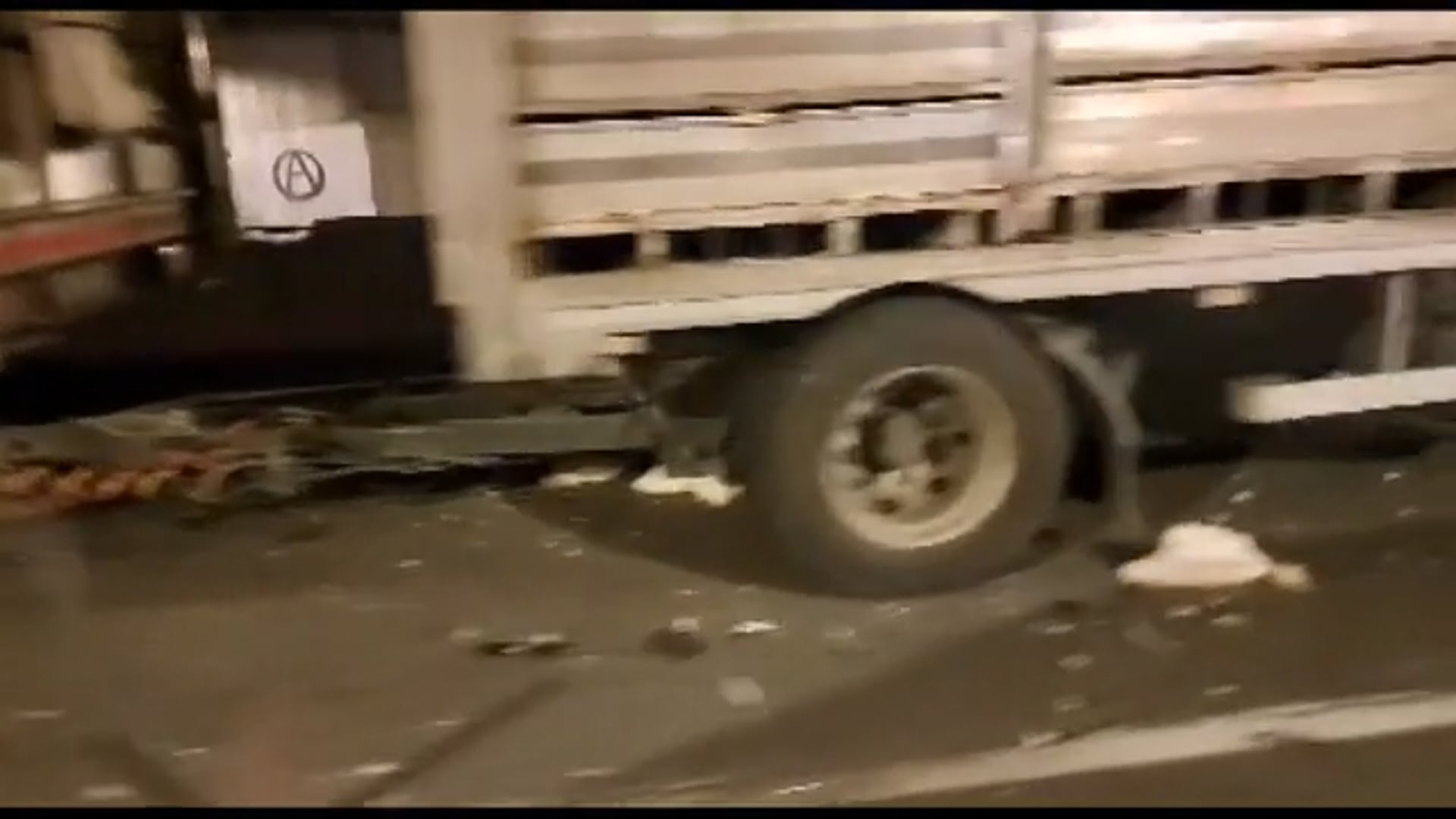 Strage di polli in via Corticella