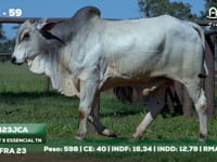 Lote 59