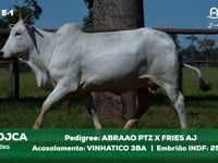Lote E-1 93120JCA x VINHATICO3BA
