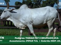 Lote E-2 2017TN x IMPARTUL