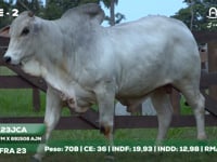 Lote 02