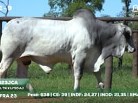 Lote 09