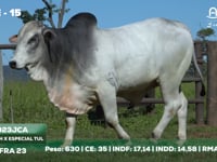 Lote 15