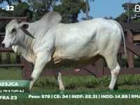 Lote 32